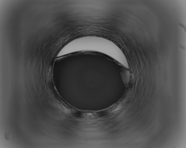 X0000092060239200710101039