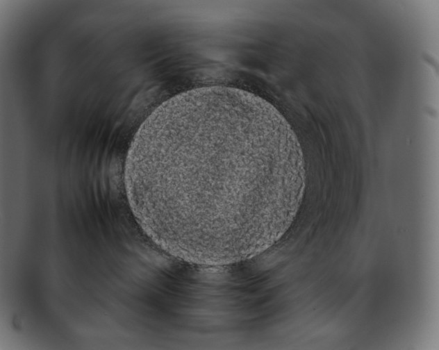 X0000092060240200710101039