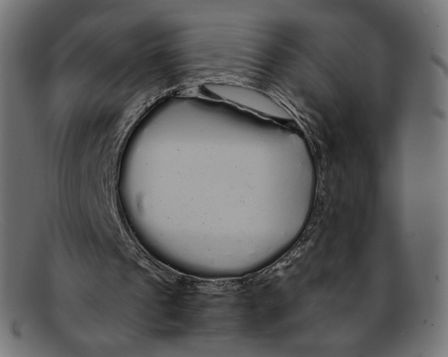 X0000092060241200710101039