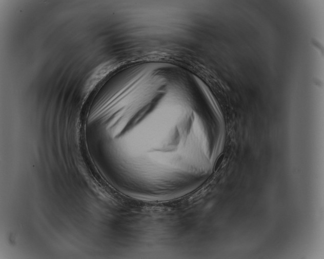 X0000092060242200710101039