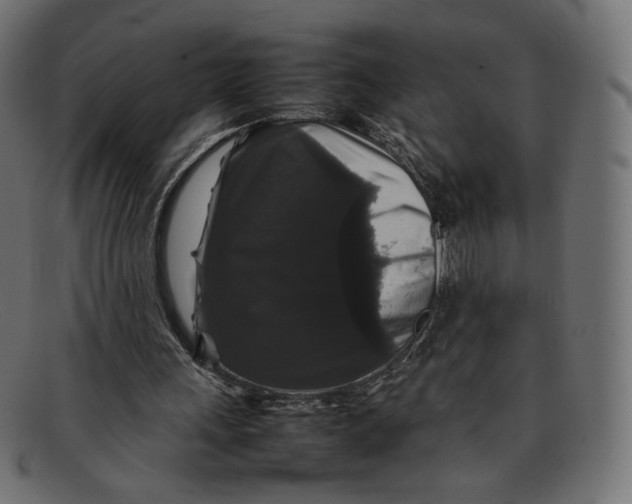 X0000092060243200710101039