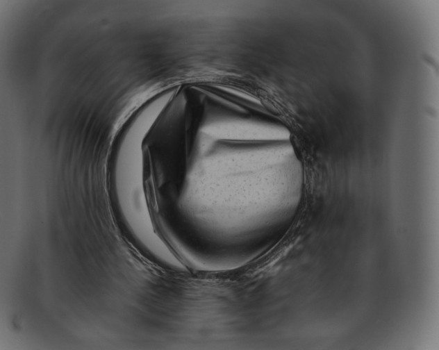 X0000092060244200710101039