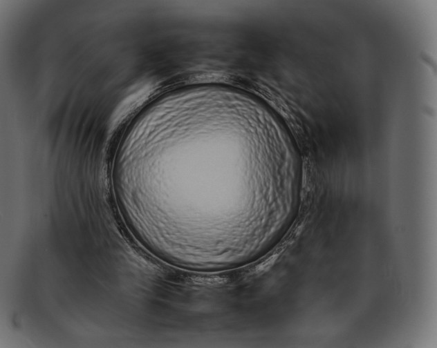 X0000092060245200710101039