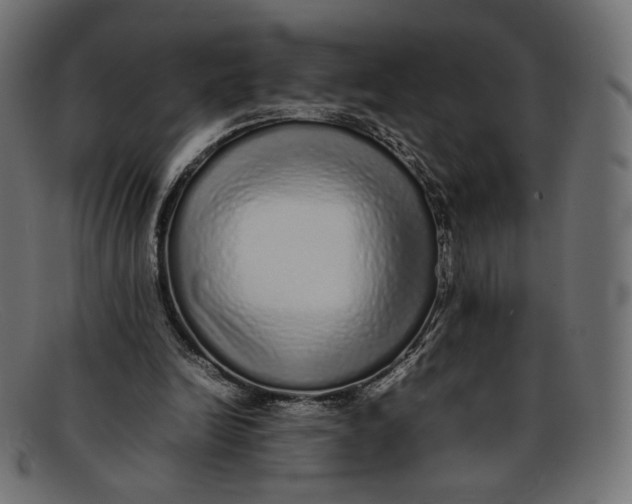 X0000092060246200710101039