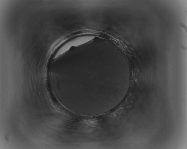 X0000092060247200710101039