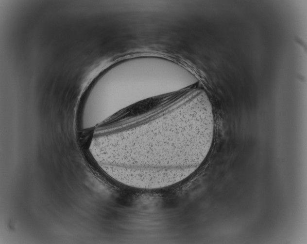 X0000092060248200710101039