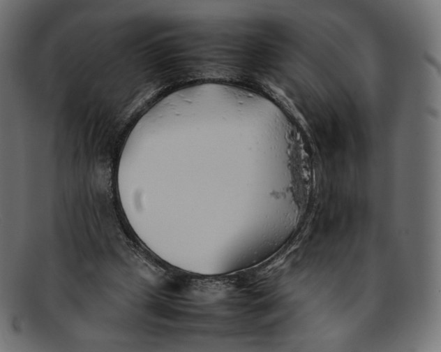 X0000092060249200710101039