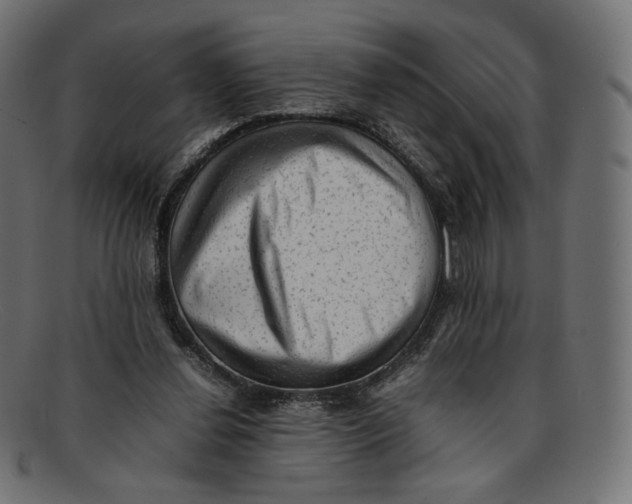 X0000092060252200710101039