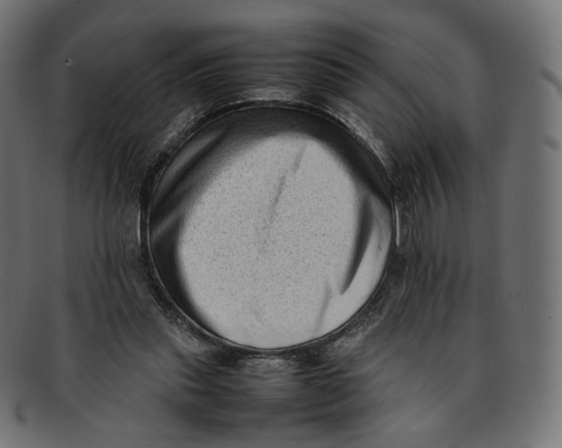 X0000092060253200710101039