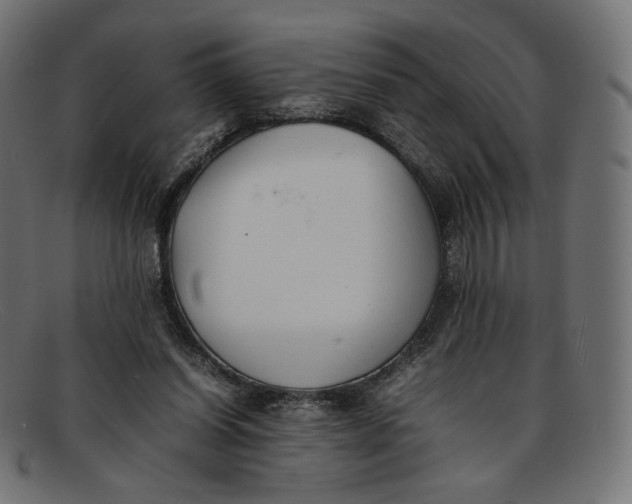 X0000092060254200710101039