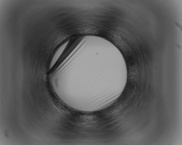 X0000092060255200710101039