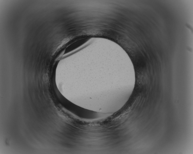 X0000092060256200710101039