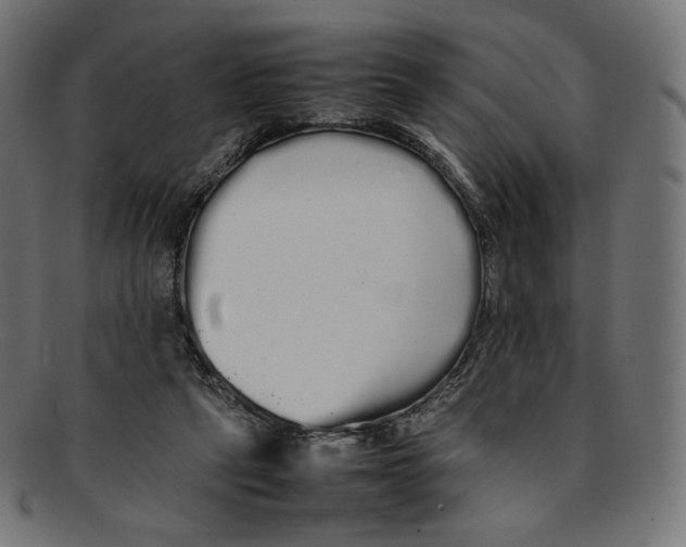 X0000092060257200710101039