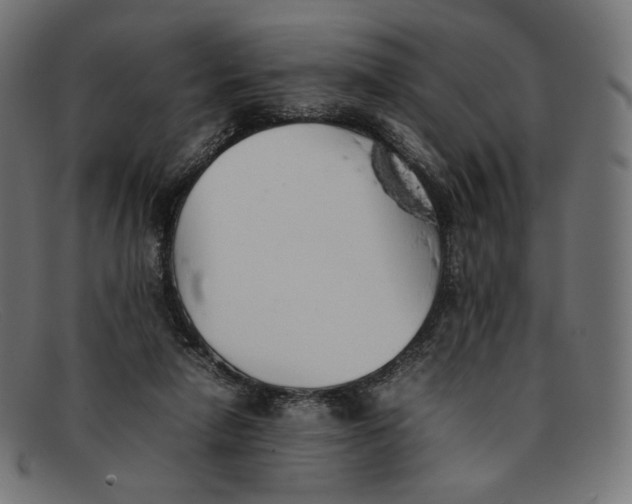 X0000092060258200710101039