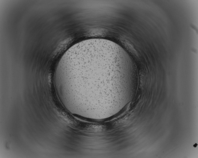 X0000092060260200710101039