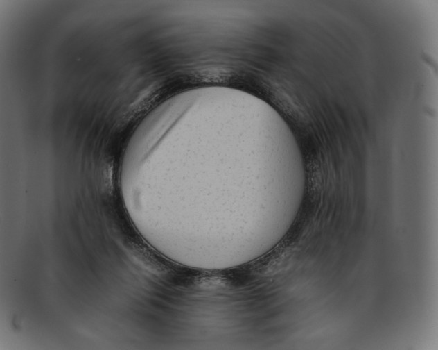 X0000092060262200710101039