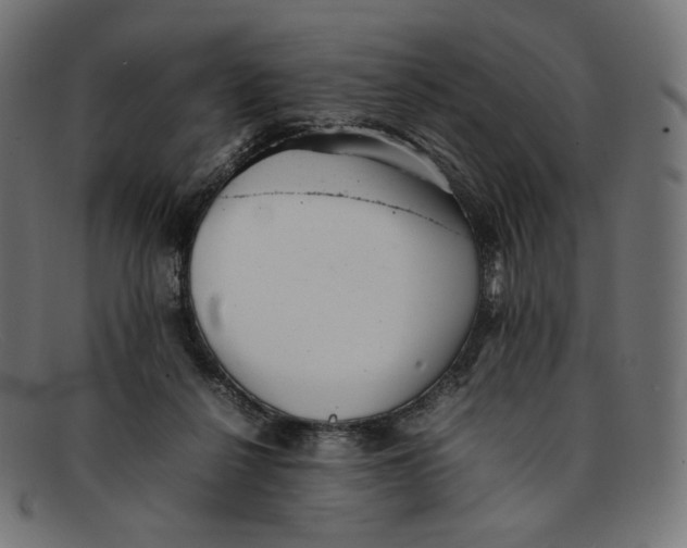 X0000092060264200710101039