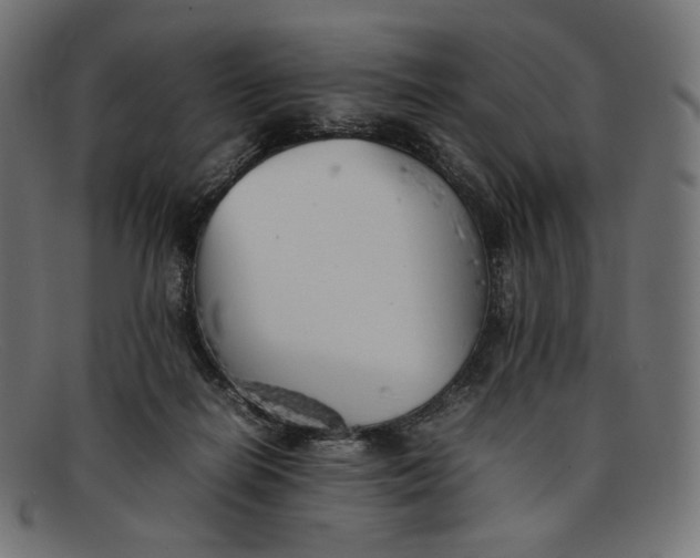 X0000092060266200710101039