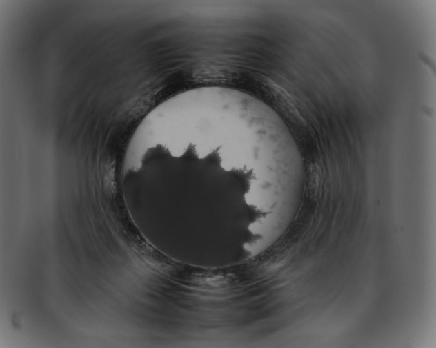 X0000092060267200710101039