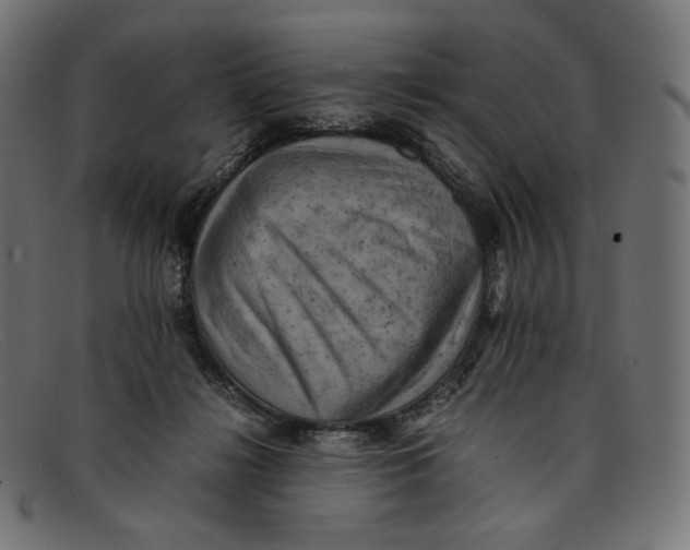 X0000092060268200710101039