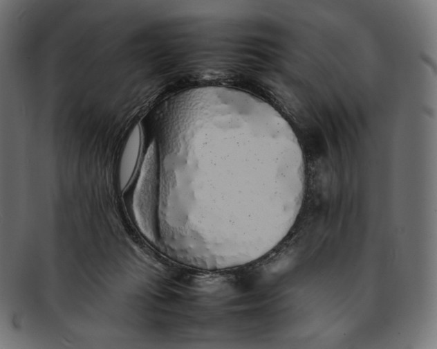 X0000092060269200710101039