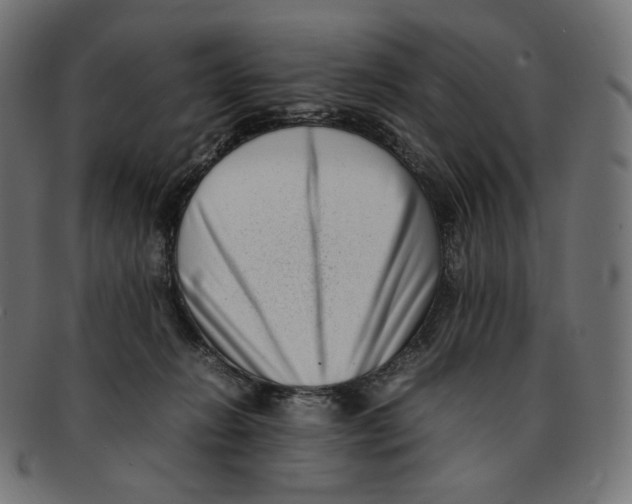 X0000092060270200710101039