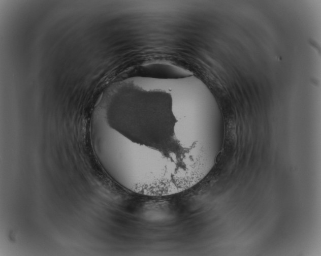 X0000092060271200710101039