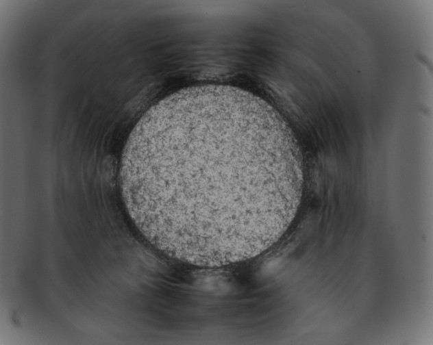 X0000092060273200710101039