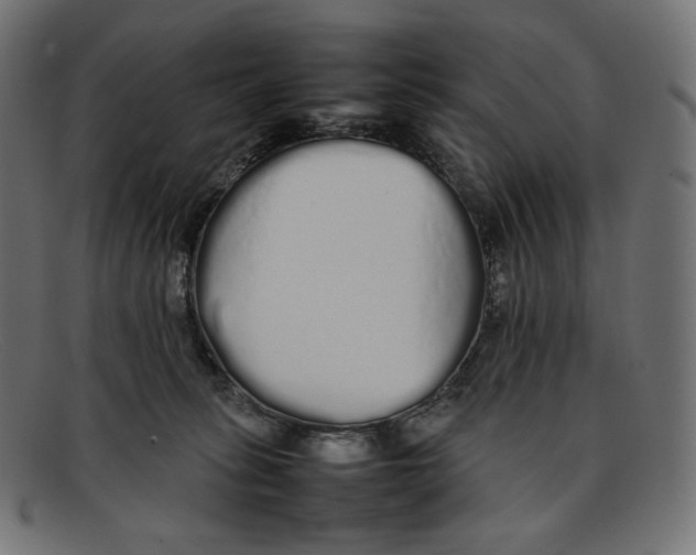 X0000092060275200710101039