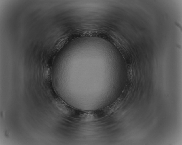 X0000092060276200710101039