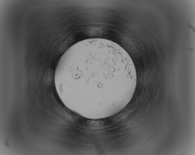 X0000092060277200710101039