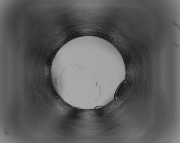 X0000092060278200710101039