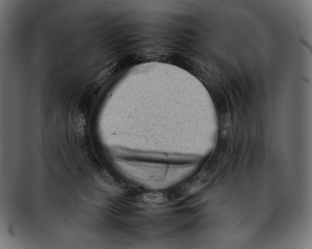 X0000092060279200710101039