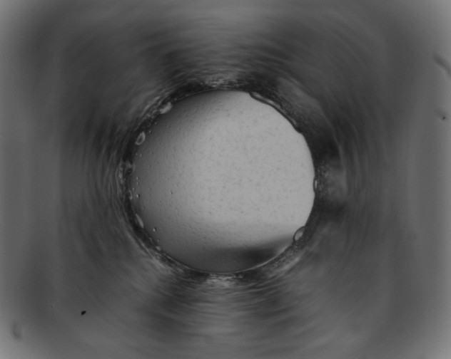 X0000092060280200710101039