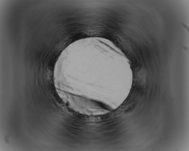 X0000092060281200710101039