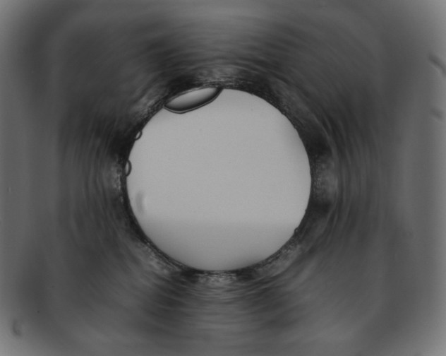 X0000092060282200710101039