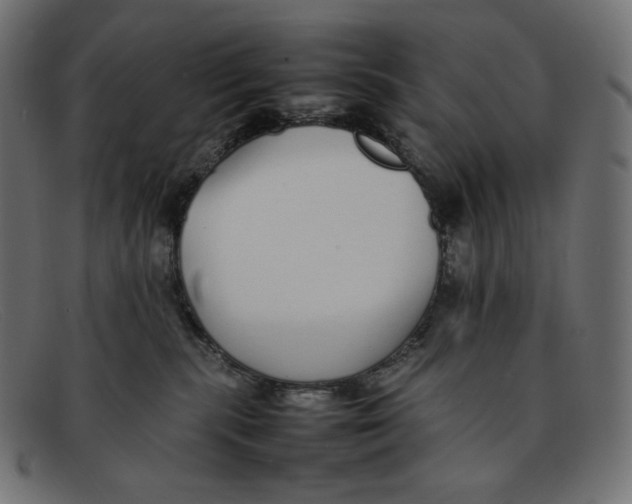 X0000092060283200710101039