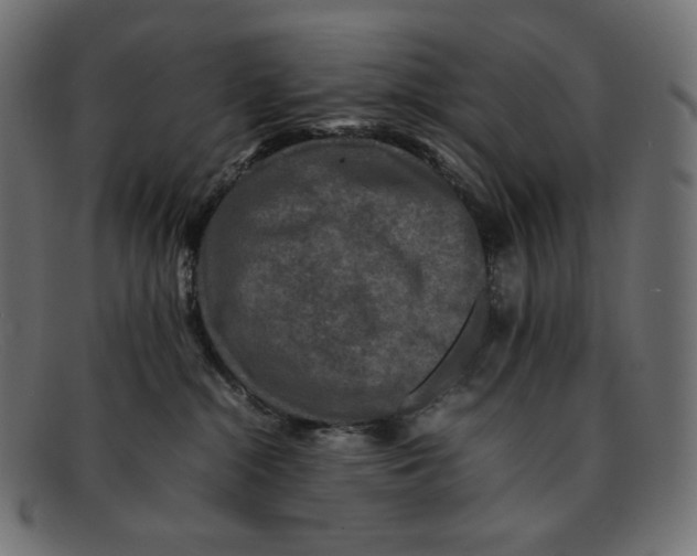 X0000092060284200710101039