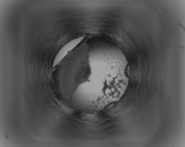 X0000092060285200710101039