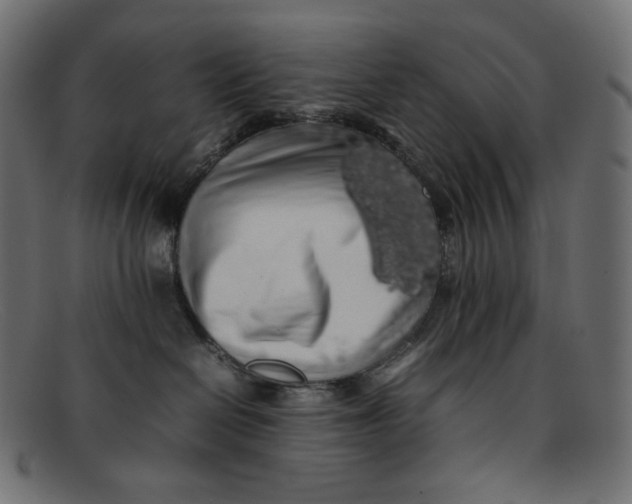 X0000092060286200710101039