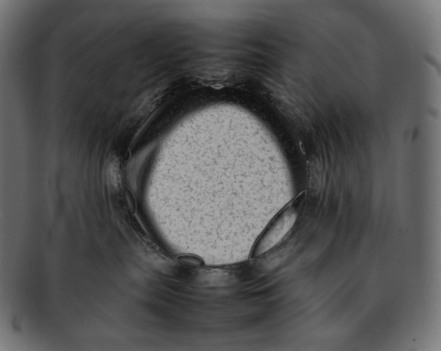 X0000092060287200710101039