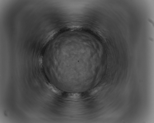 X0000092060288200710101039