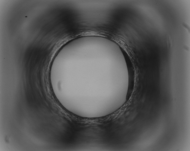 X0000092060289200710101039