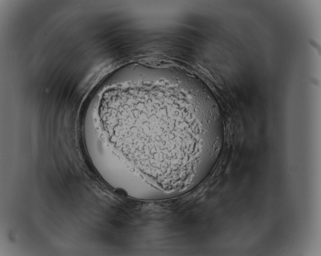 X0000092060290200710101039