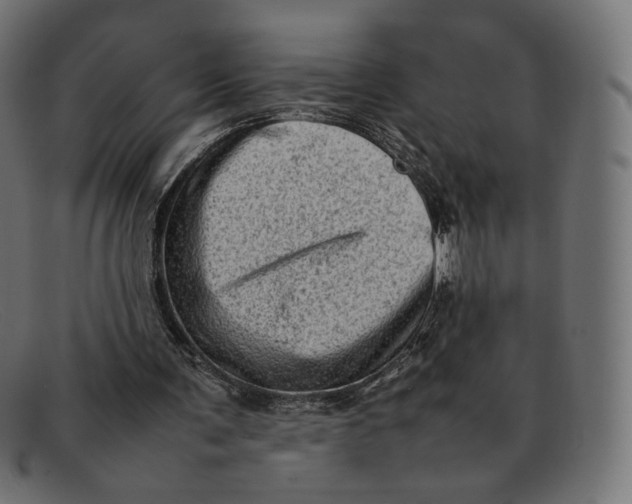 X0000092060291200710101039