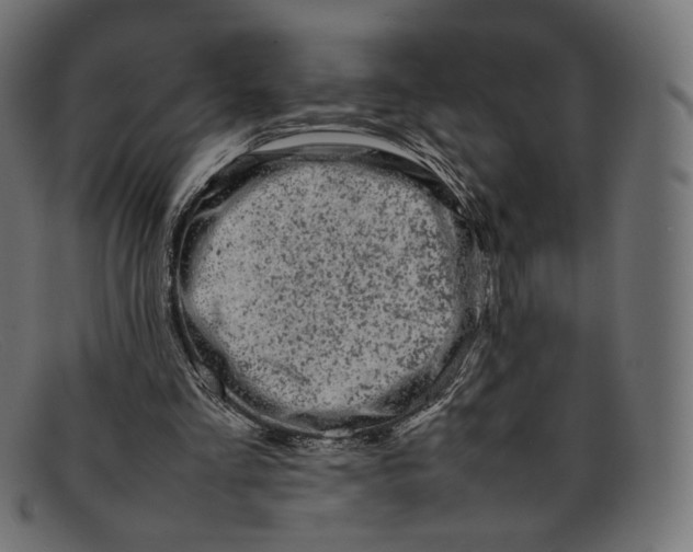 X0000092060293200710101039