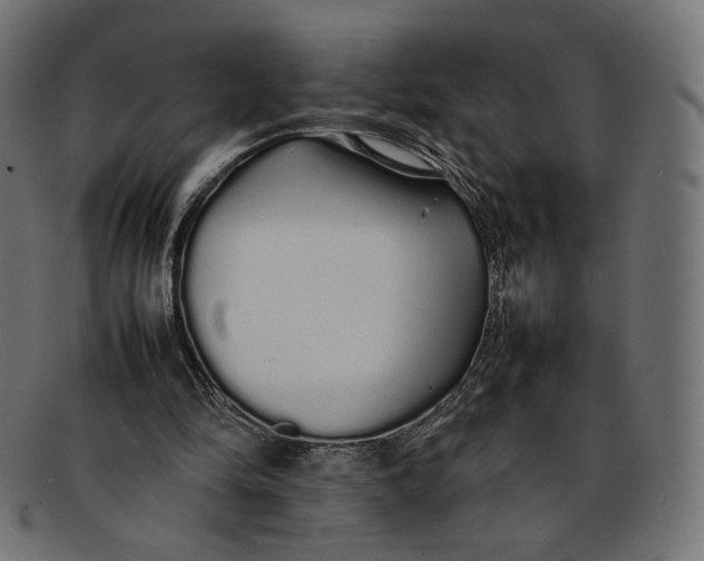 X0000092060294200710101039