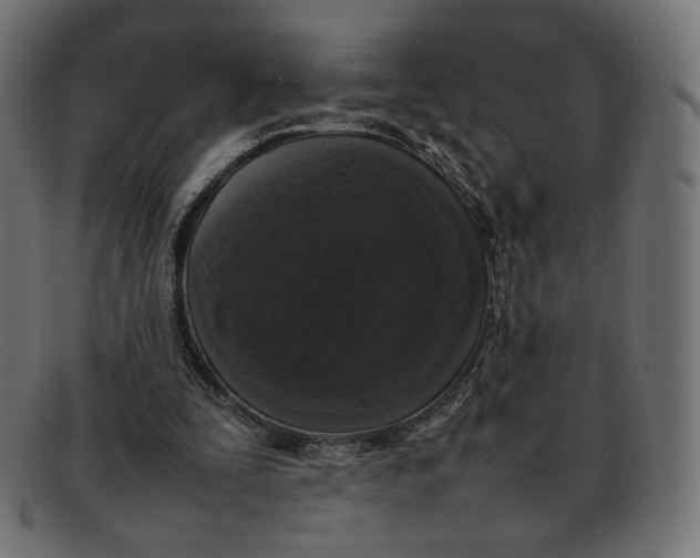 X0000092060295200710101039