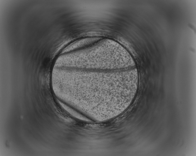 X0000092060297200710101039