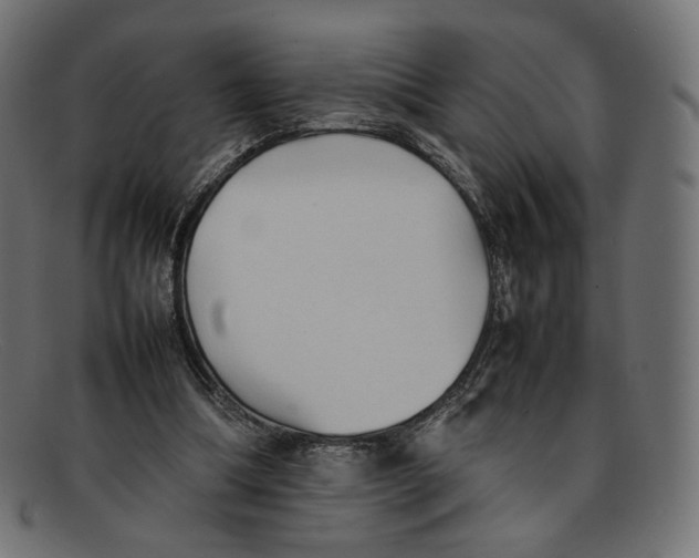 X0000092060298200710101039